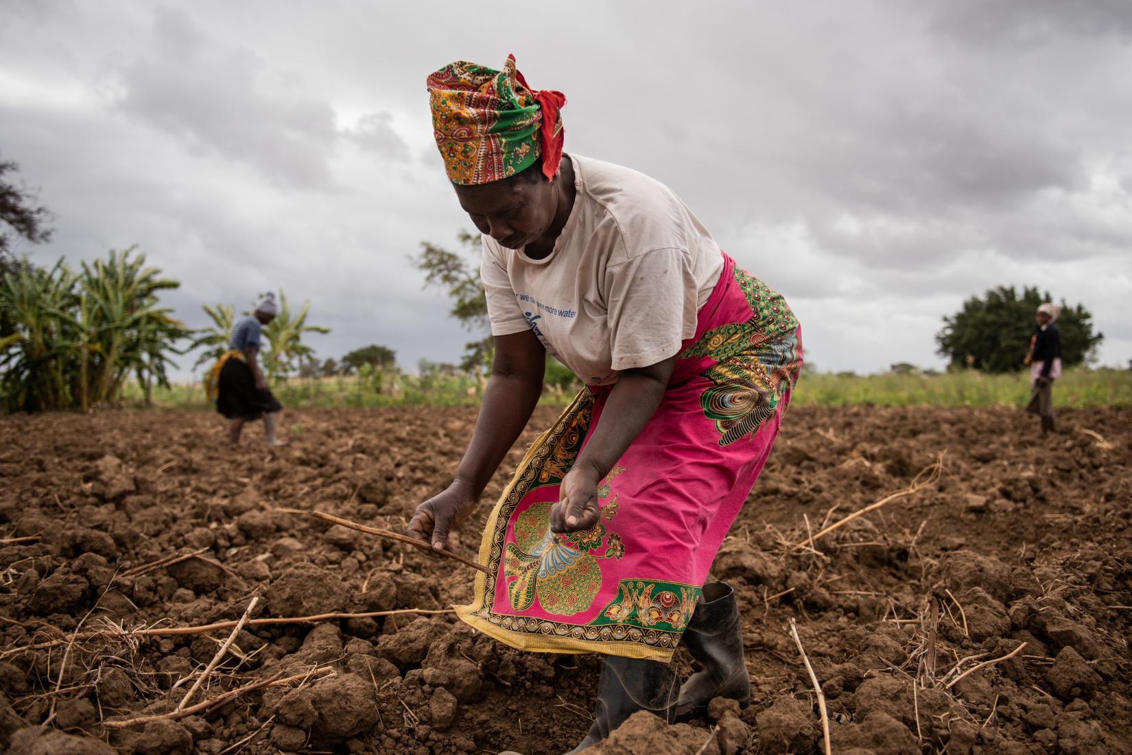 Dia Mundial Da Alimentação “cultivar Alimentar Preservar” As Nações Unidas Em Moçambique 1180