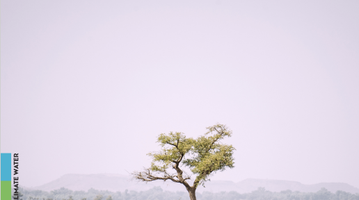 resized